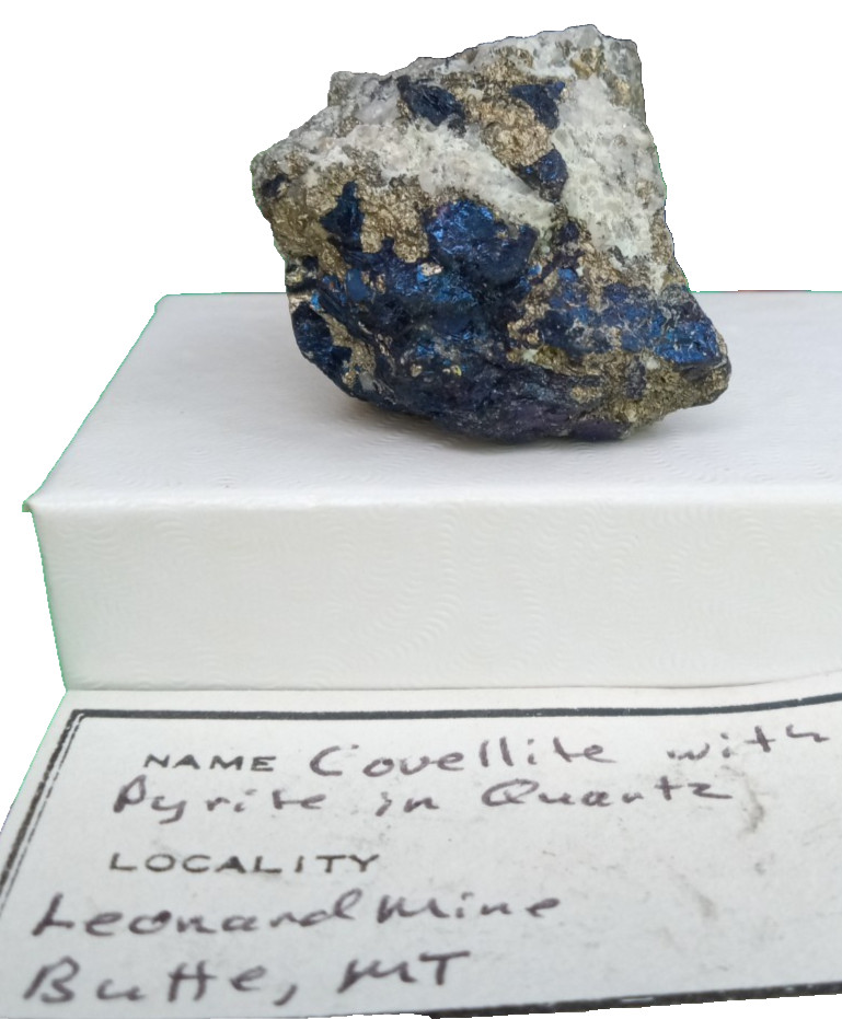 Covellite with pyrite in quartz specimen from butte MT USA