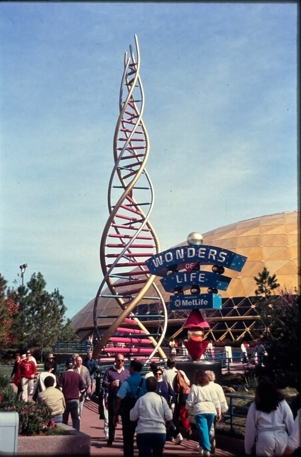  Wonders of Life Pavilion EPCOT Walt Disney World Original 35mm Film Slide