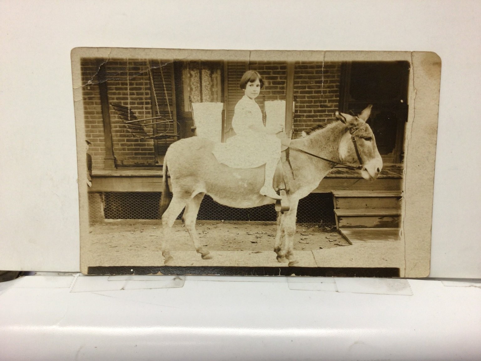 RPPC Postcard Girl Riding Donkey Williamsport PA Grove Street Vintage