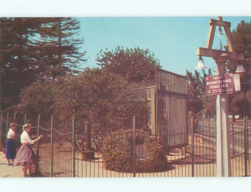 Unused Pre-1980 PARK SCENE Riverside - Los Angeles California CA c7503