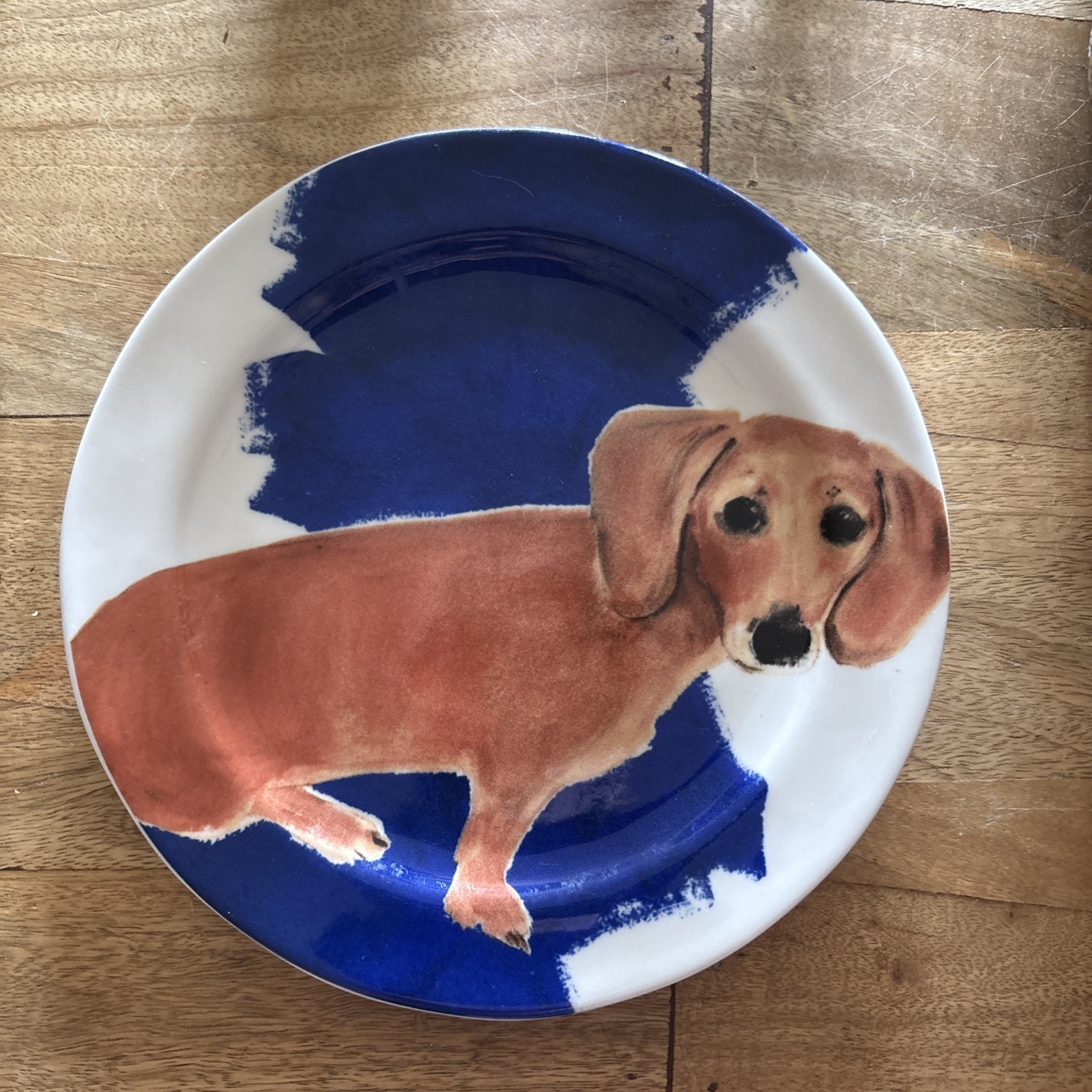Dachshund Plate Anthropologie Sally Muir 8 1/2  In