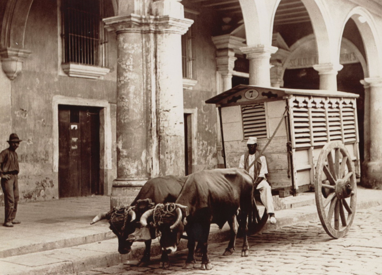 Lot 3 Havana Cuba Street Scene Photos 1900s Columns Ox Cart Cathedral