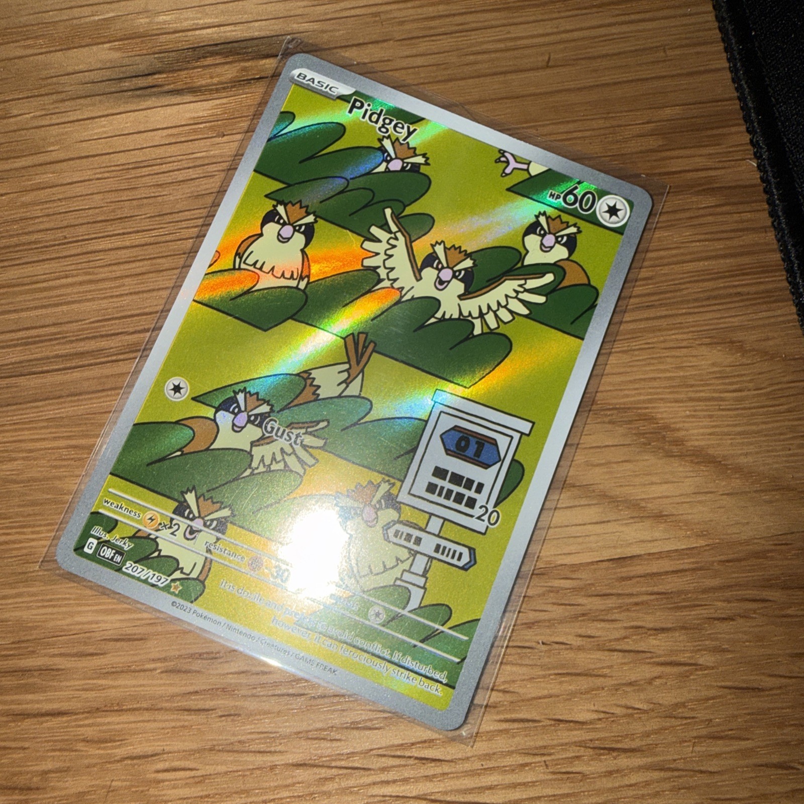 Pokémon TCG Pidgey Illustration Rare (207/197)  Korean Ruler of the Black Flame