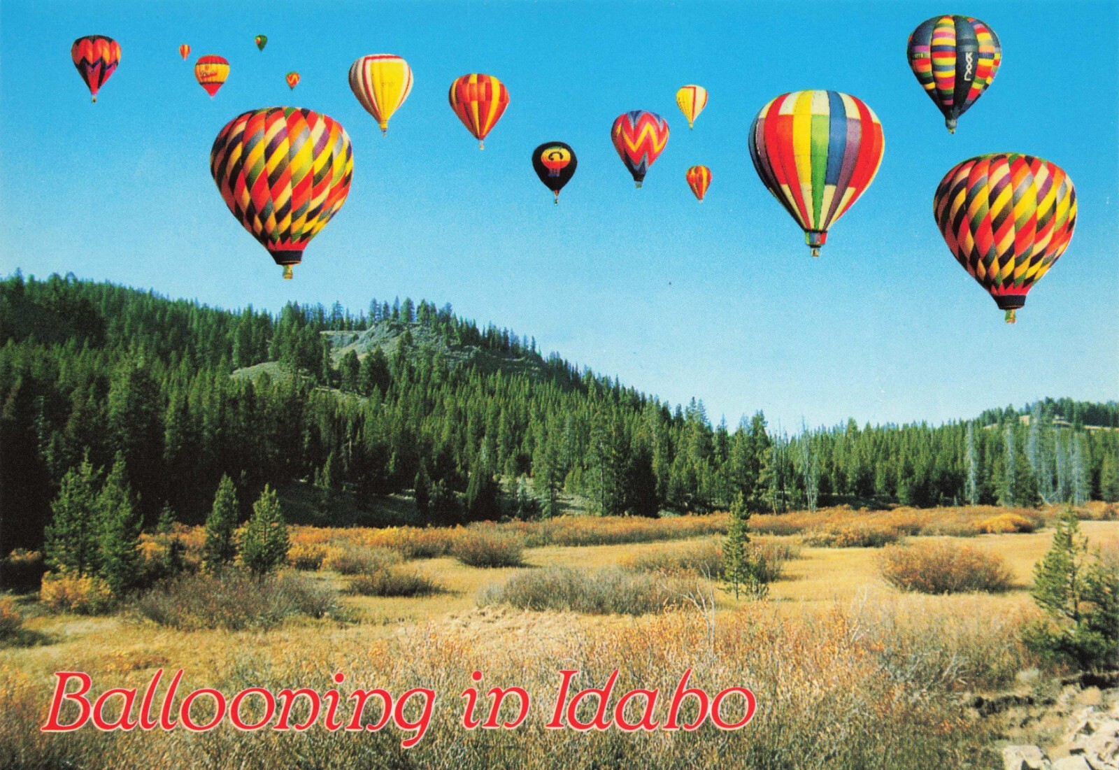 Idaho Hot Air Balloons Scenic View Vintage Continental Postcard Unposted