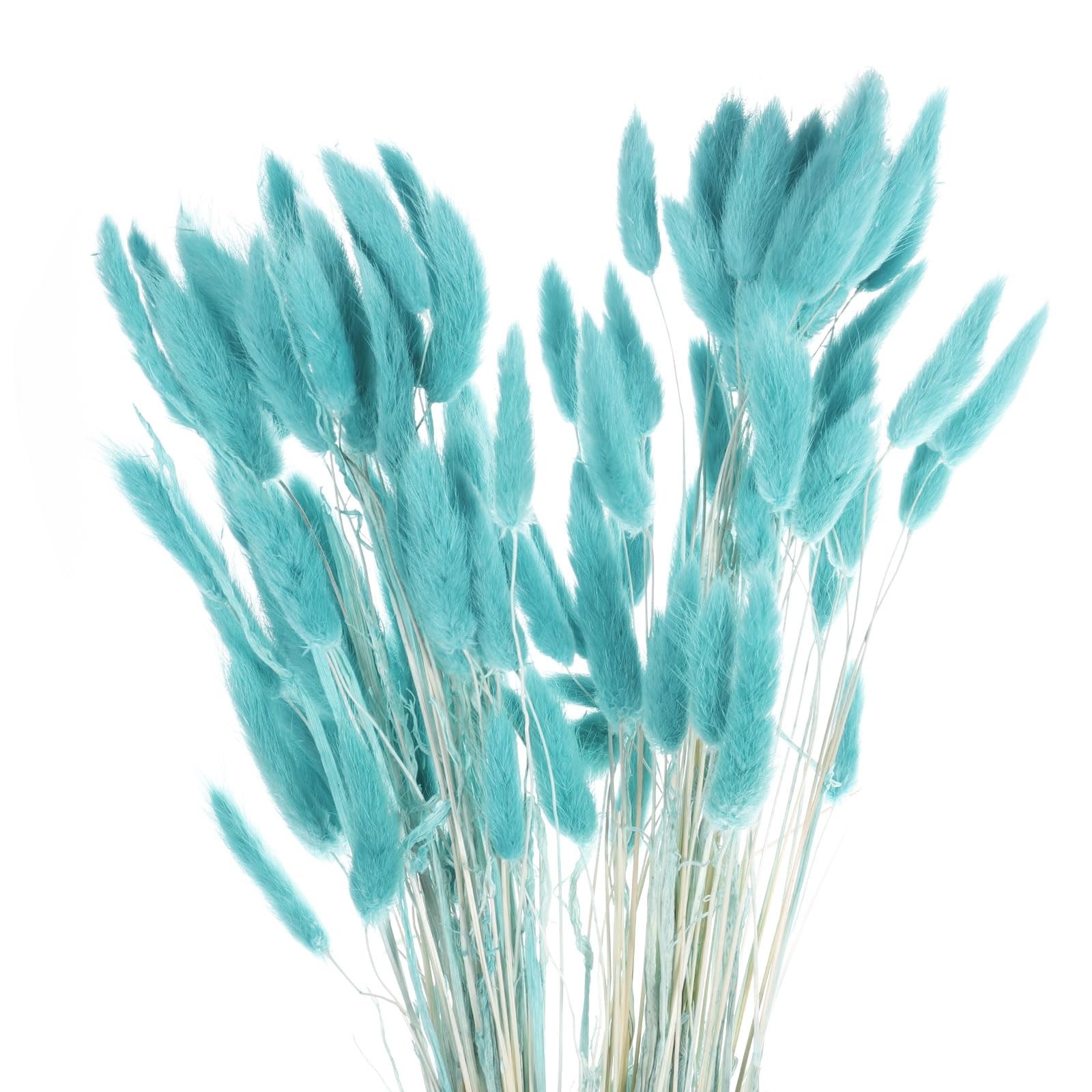 MECCANIXITY 120pcs Rabbit Bunny Tails Dried Flowers 24