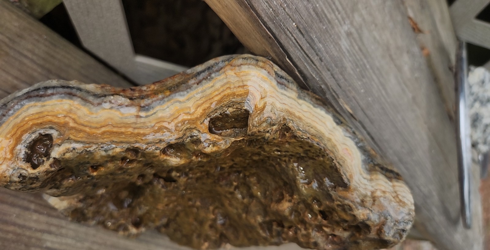 5 Pound Crowley Ridge Agate Beautful Banding Druzy Iron Unique Specimen HUGE L11