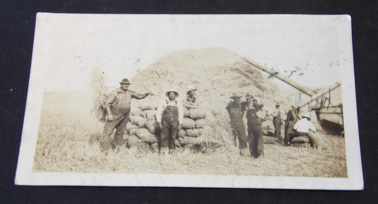 Antique Farmer Harvest Grain Workers-Threshing Crew Bagging Grain-Marked on Back