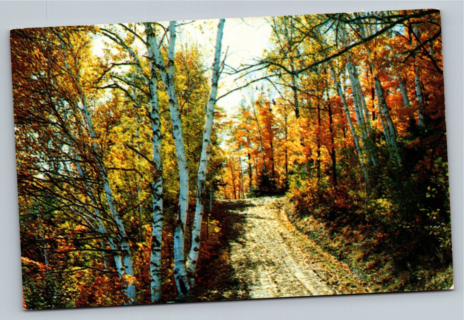 Fallsview Store Restoule Ontario Canada Vintage Ektachrome Postcard