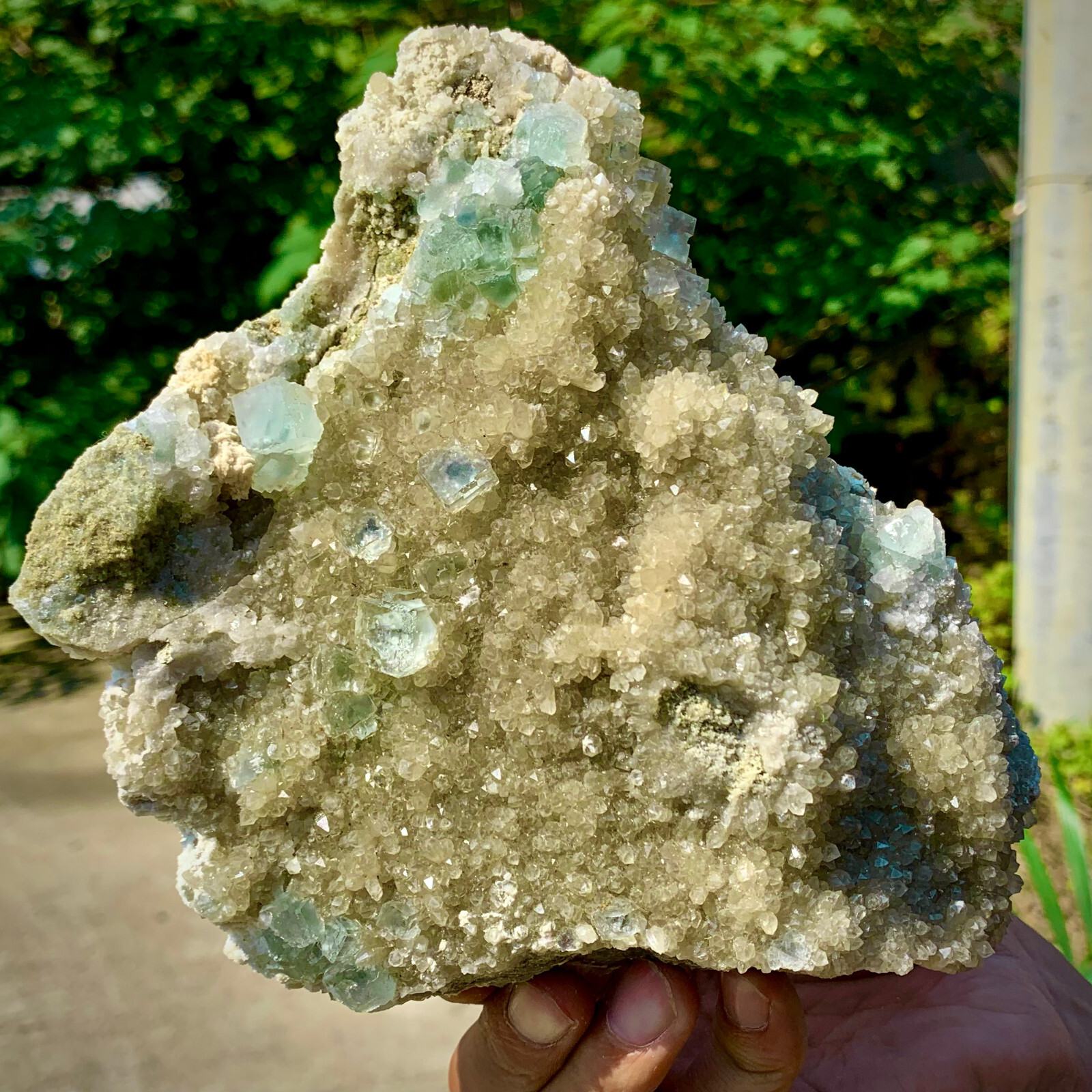 3.6LB Natural pound rare transparent green cubic fluorite mineral crystal