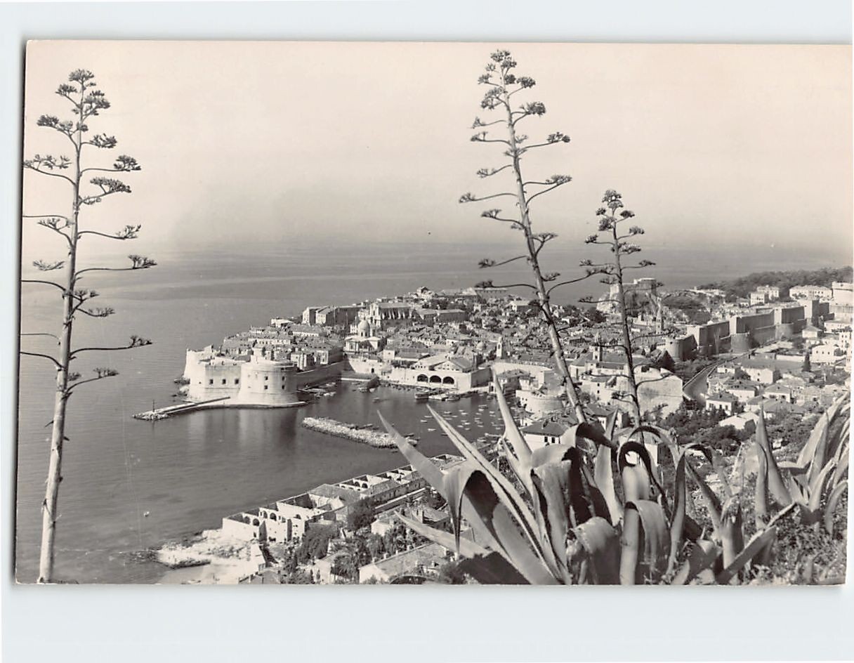 Dubrovnik Croatia G-24782