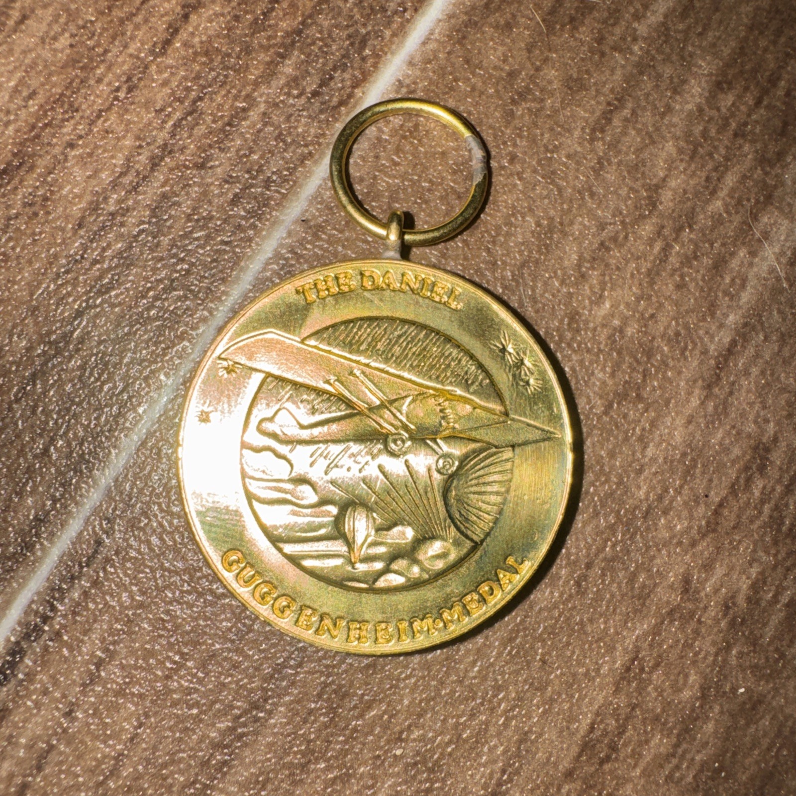Daniel Guggenheim Medal Ryan 