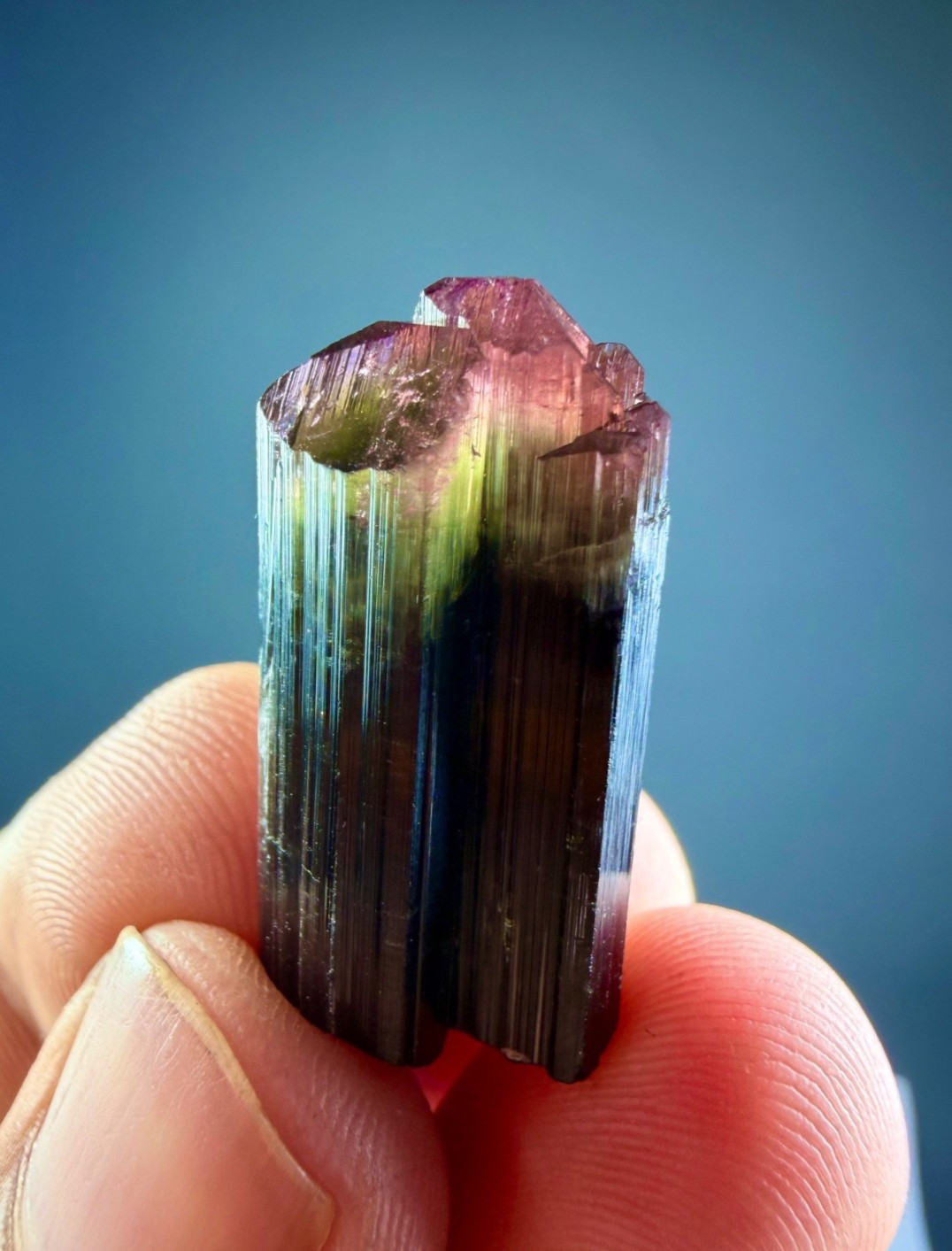 Natural Bi~Color Tourmaline Crystal On Matrix , Specimen 36 Carats @ Minerals