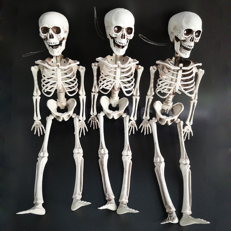 3 Pack 16