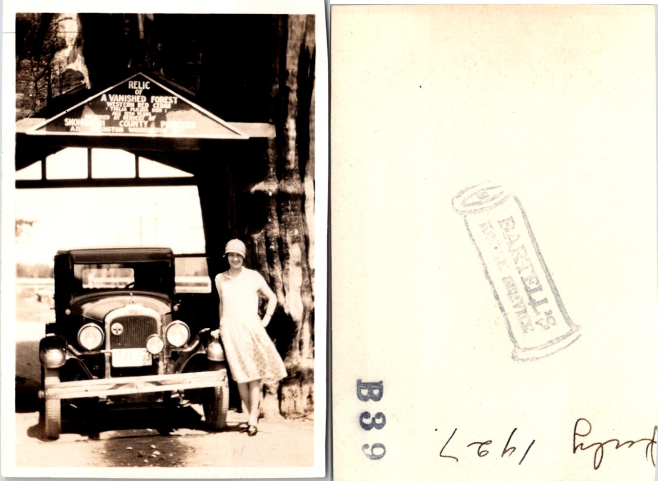 1927 Woman and Chevrolet Vanished Forest Snohomish Cty WA B+W Photo S0057