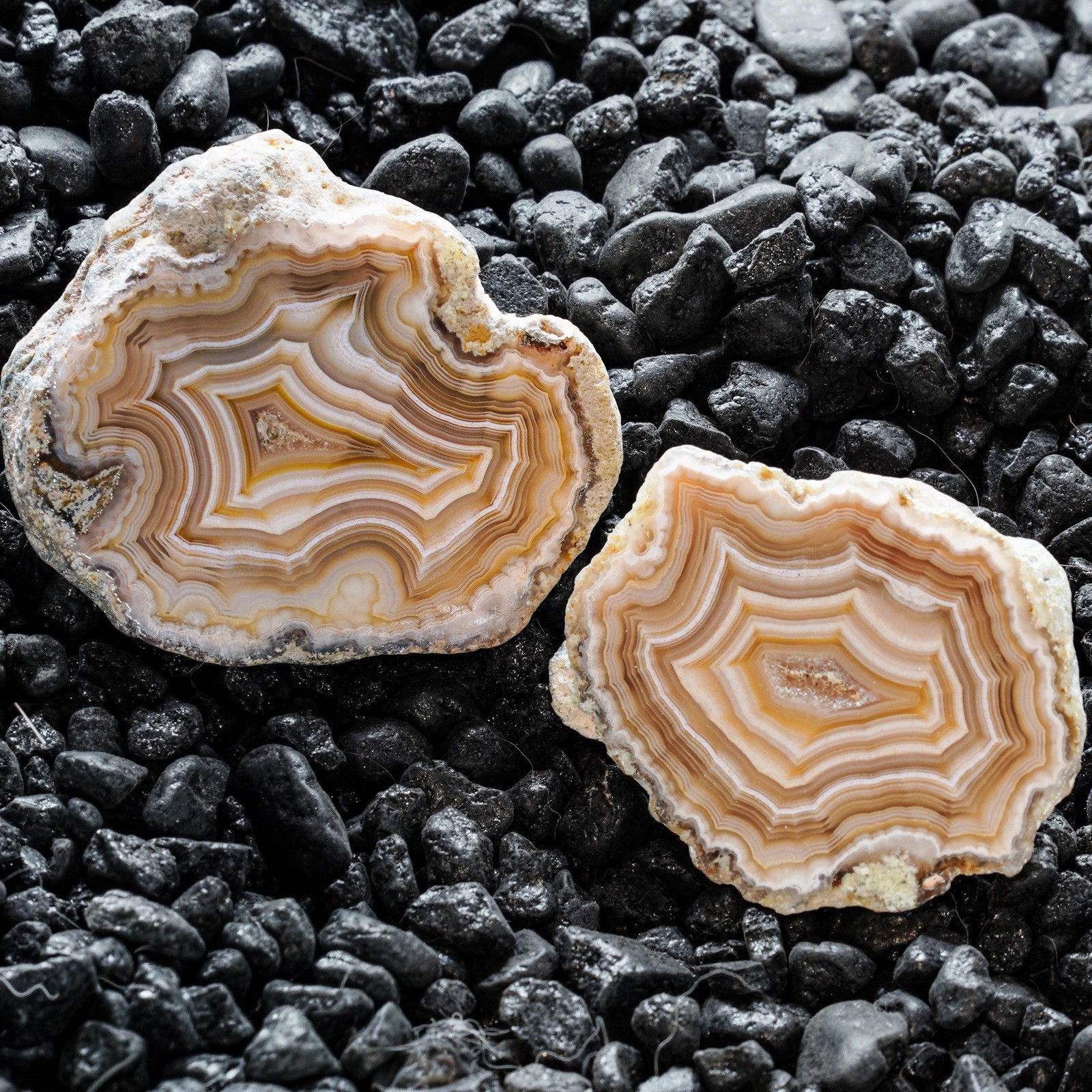 Smoker Leguna Agate Half’s | Mirror Polished | Flawless Pair | Crazy Parallax