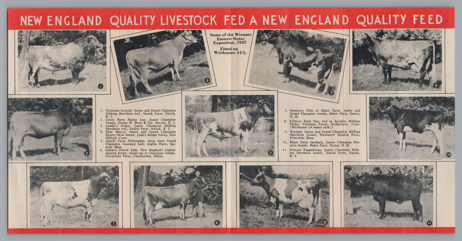 Rare 1937 Wirthmore Feed Brochure Eastern States Exposition Champion Cow Photos