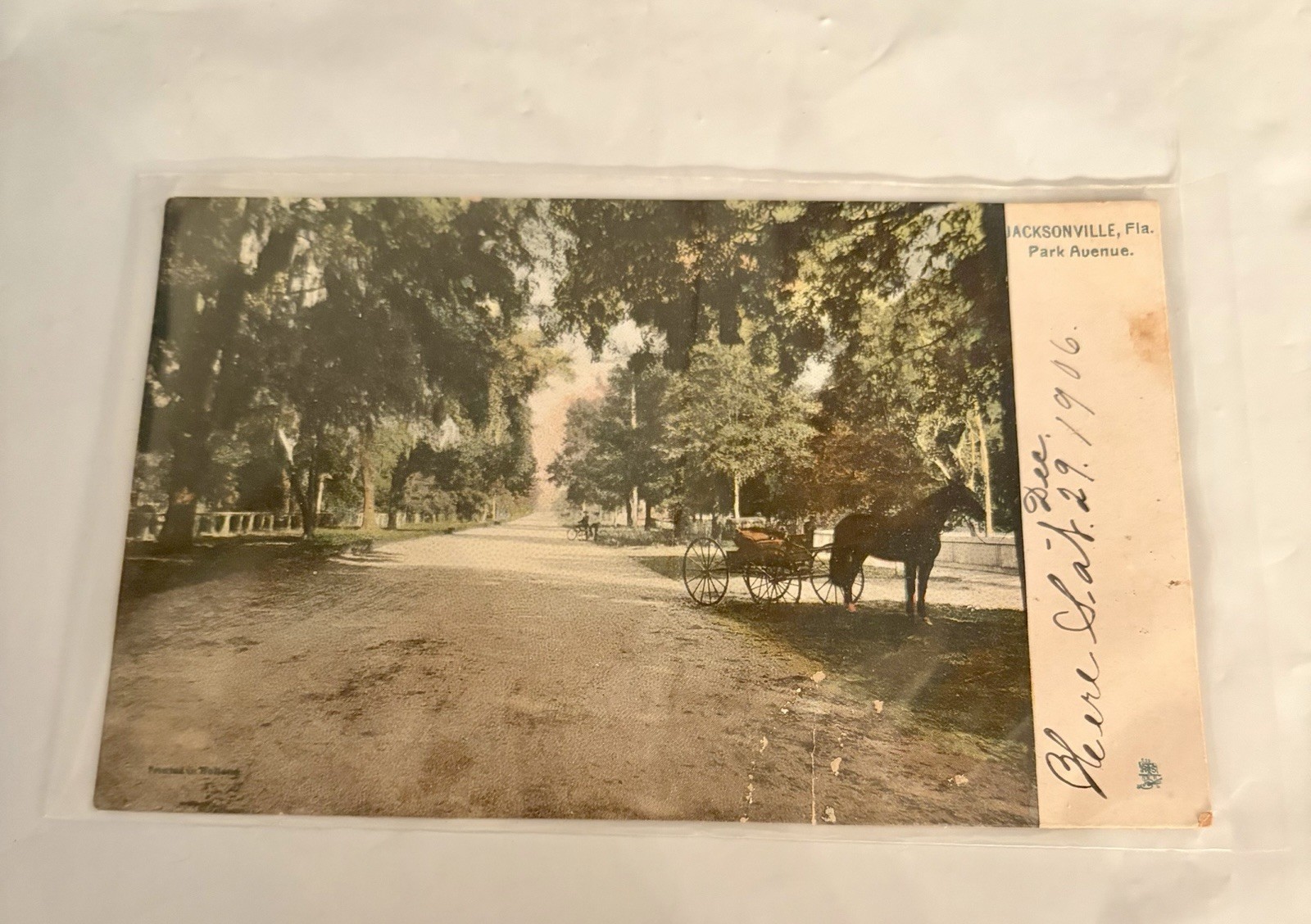 Antique Real Photo, Jacksonville, Florida; 1906; Park Ave. 