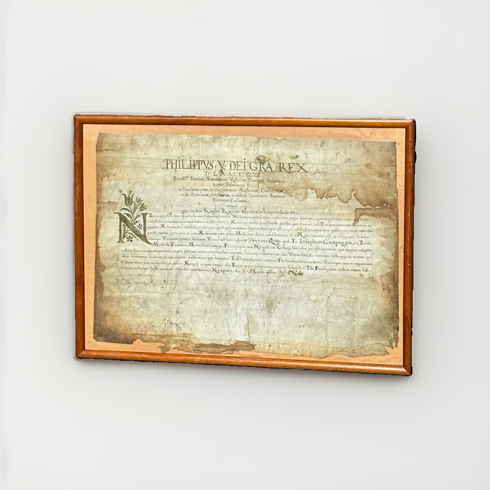 Antique Latin Royal Document Philip V Dei Gratia Rex Naples 1703 Framed 23x17