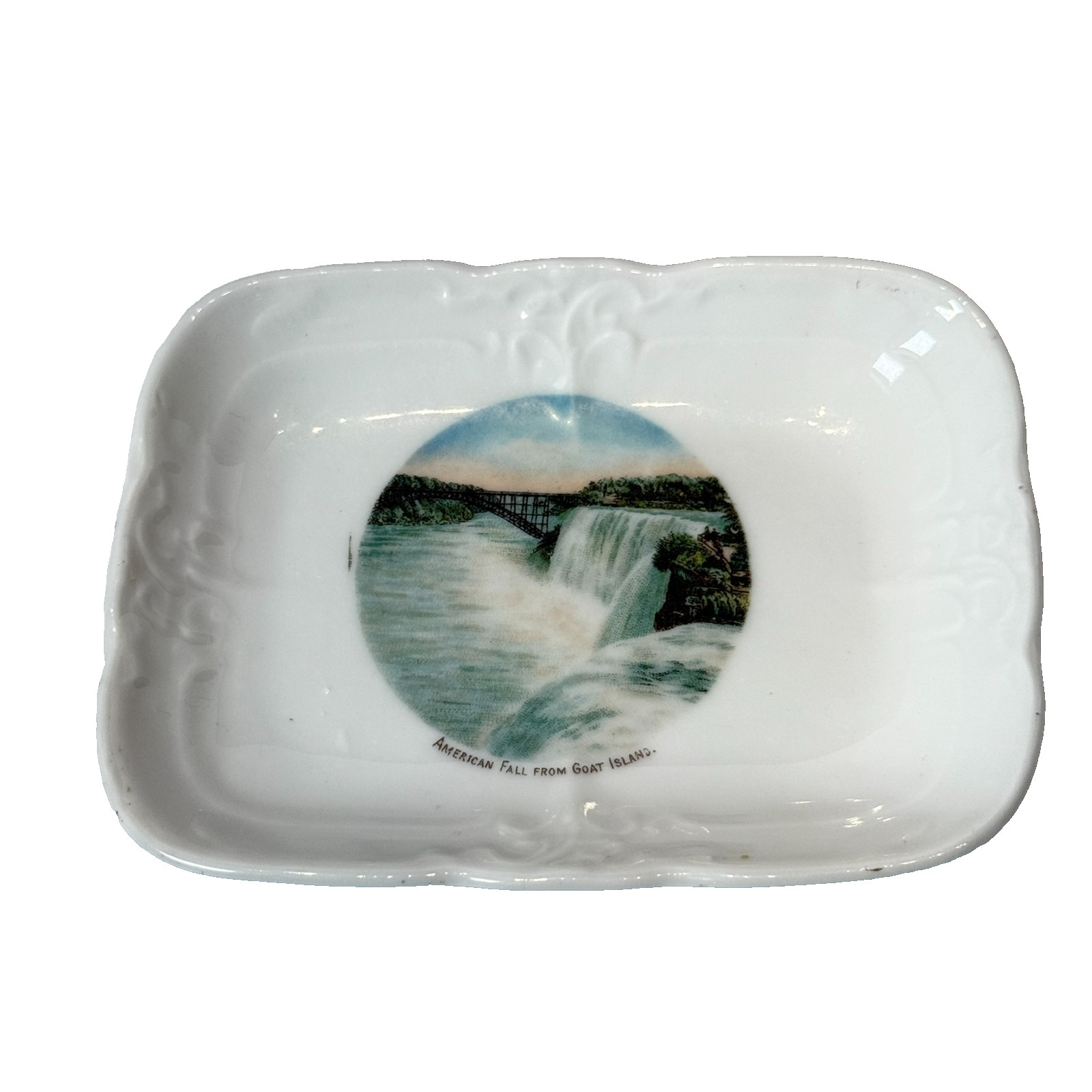 AMERICAN FALL - GOAT ISLAND NY NEW YORK Souvenir ANTIQUE CHINA DISH