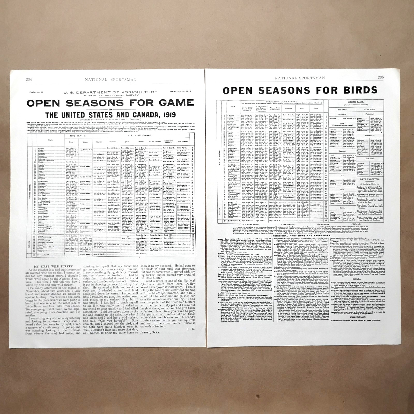 1919 Open Seasons for Game Hunting U.S. Dept of Ag. Vintage Print Article D2