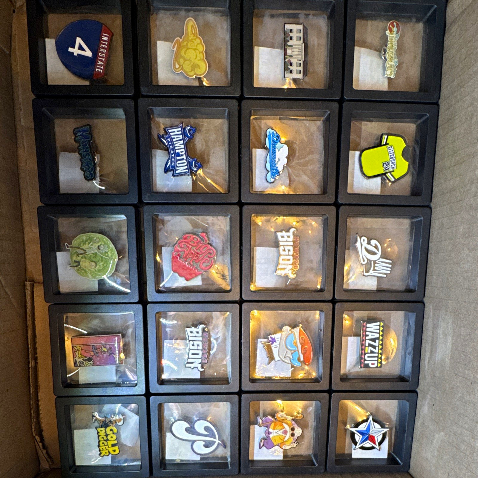 Lot of 20 Assorted Enamel Lapel Pins, Mixed Designs, Display Boxes