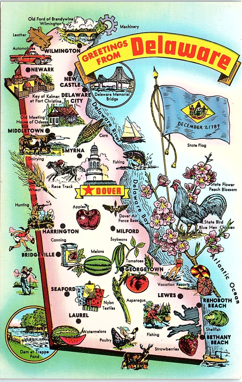 Vintage Postcard Delaware Diamond State Cartoon Map
