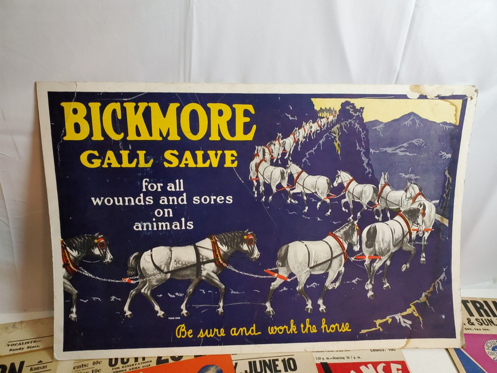Bickmore Gall Salve Advertisment cardboard vtg sign rare 36\