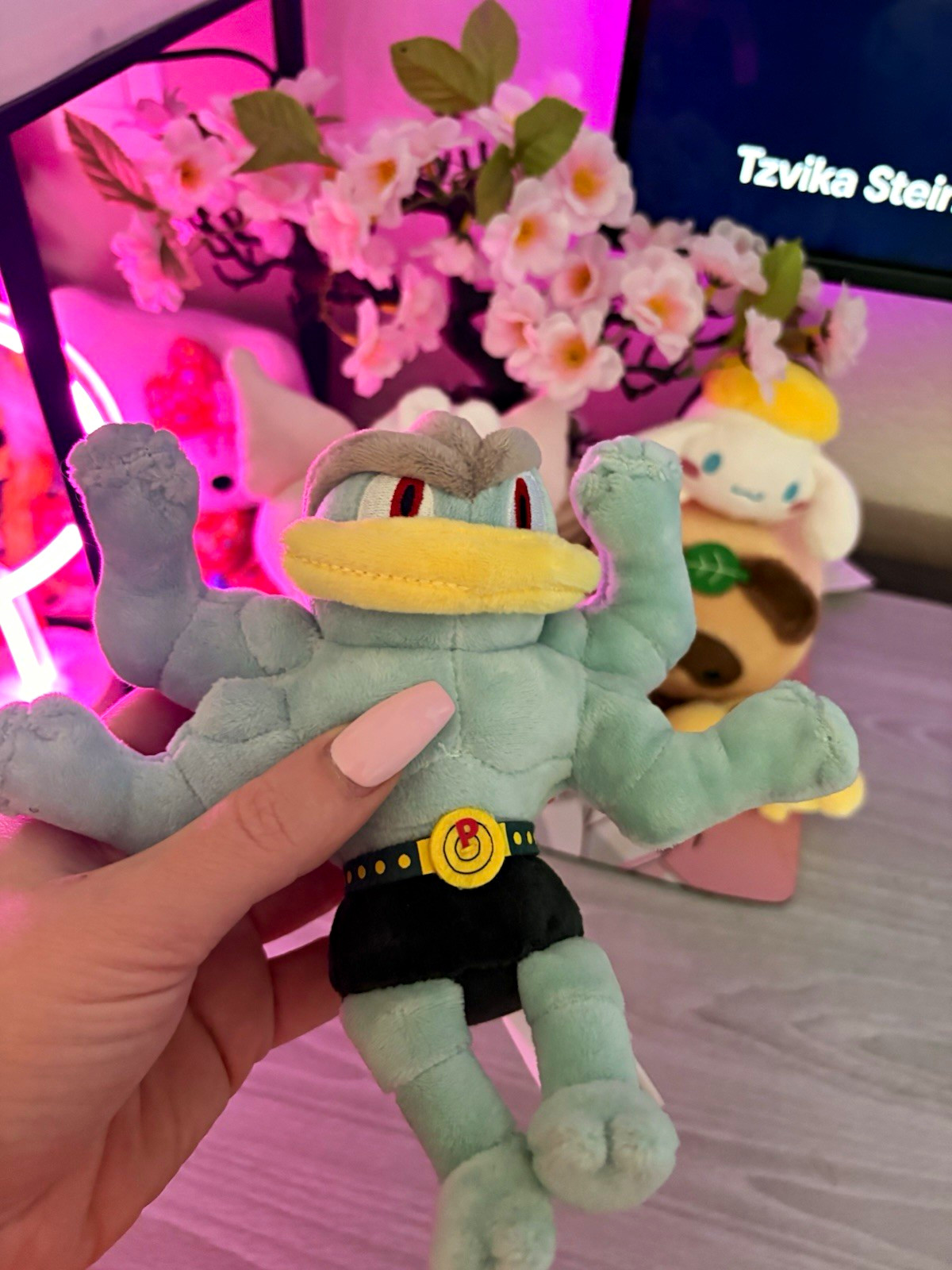 Pokémon Center Plush Lot  Machamp - Bewear - Onix - Litleo - Sittin’ Cuties