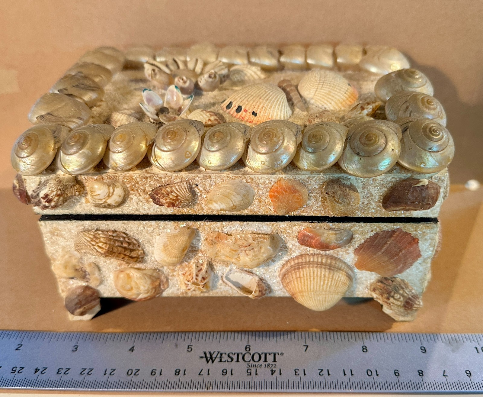 Large Vintage Souvenir Sea Shell Box Glitter 6.5