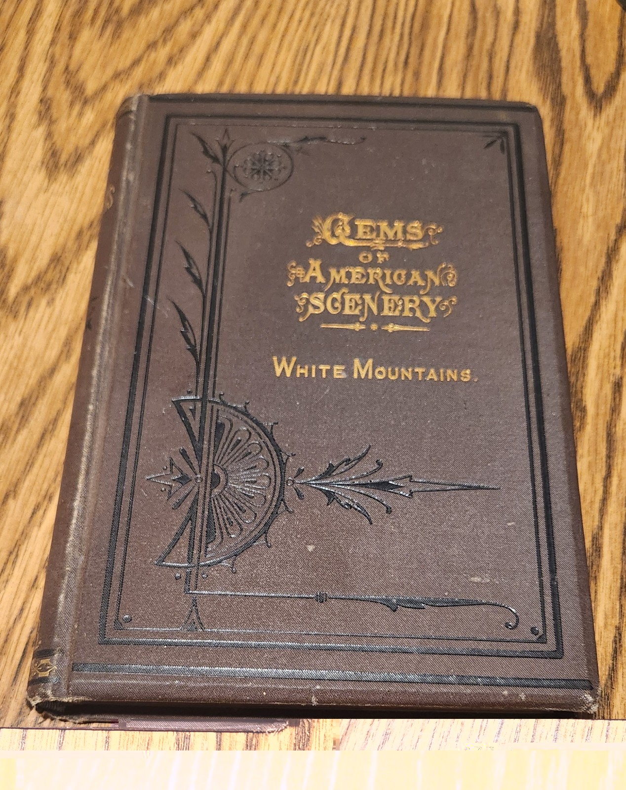 Antique 1878 Gems Of American Scenery White Mountains Stereoscope Views Book