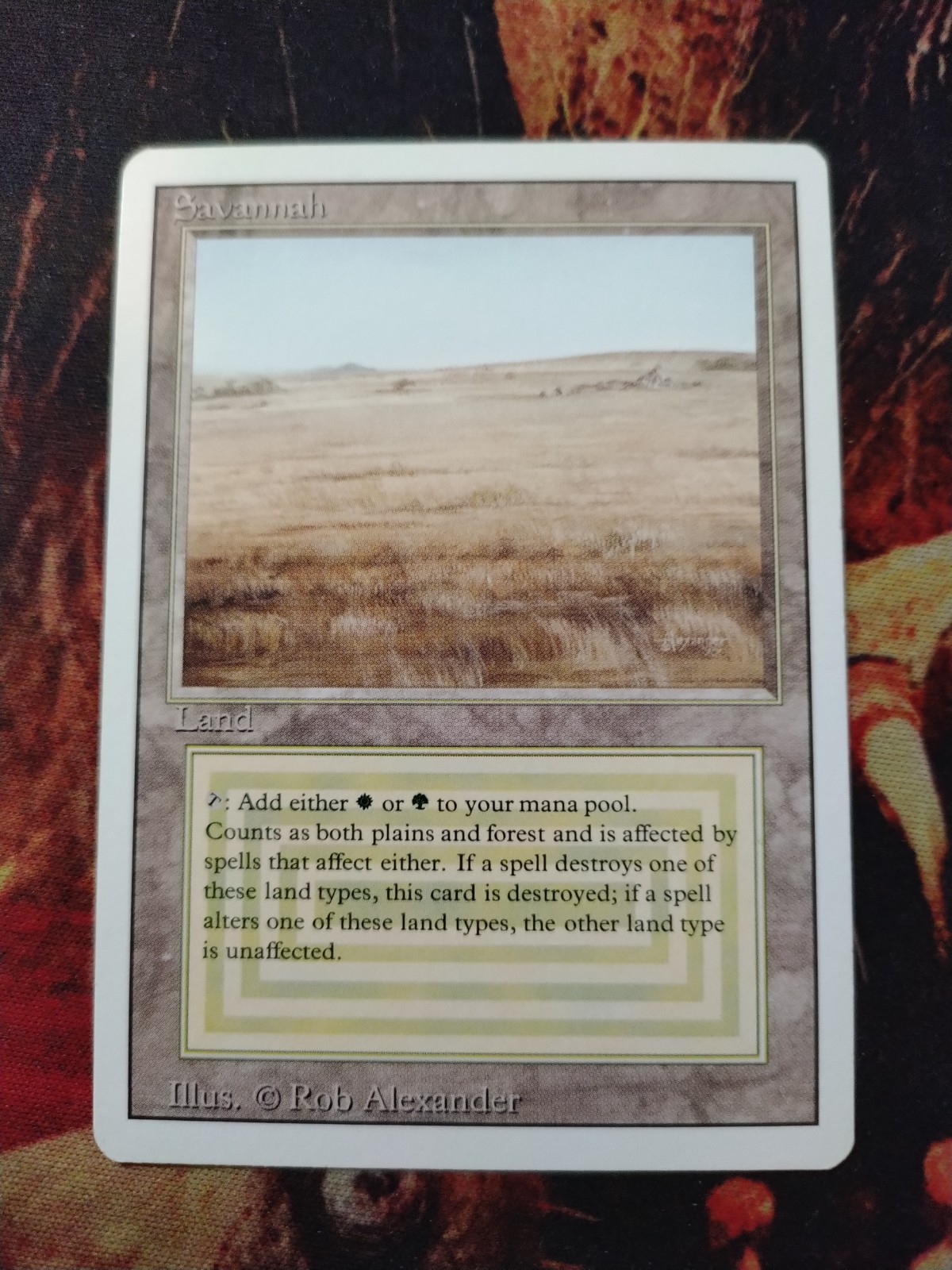 Magic the Gathering Savannah Dual-Land Revised NM