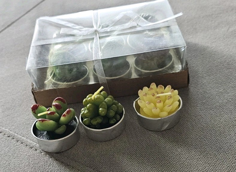 6 Pack Succulent Cactus Tea Lights Candles + 3 Additional 