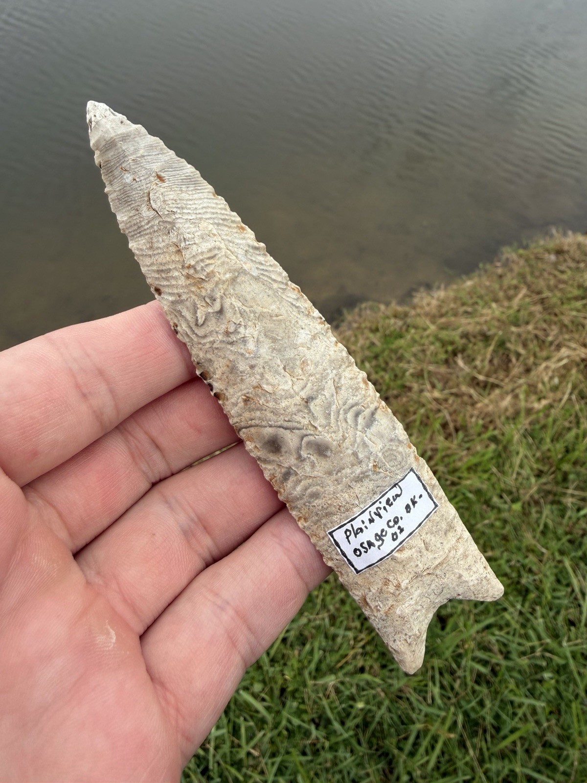 Rare Large Mammoth Oklahoma Plain view Arrowhead Point Paleo 