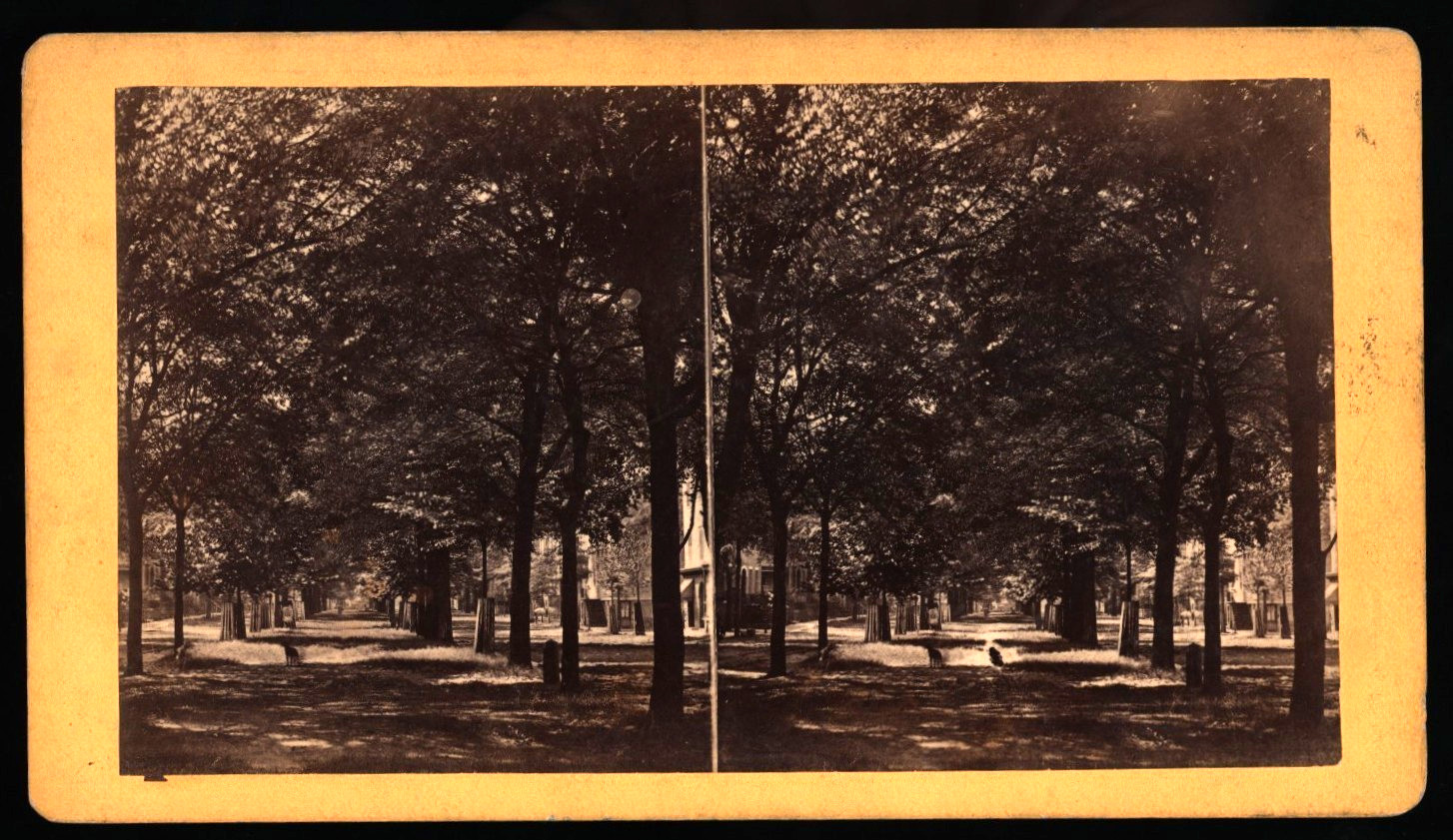 85)   ~South Broad Street ~ D.J. RYAN  No. 170 ~Savannah, Georgia. 1870s