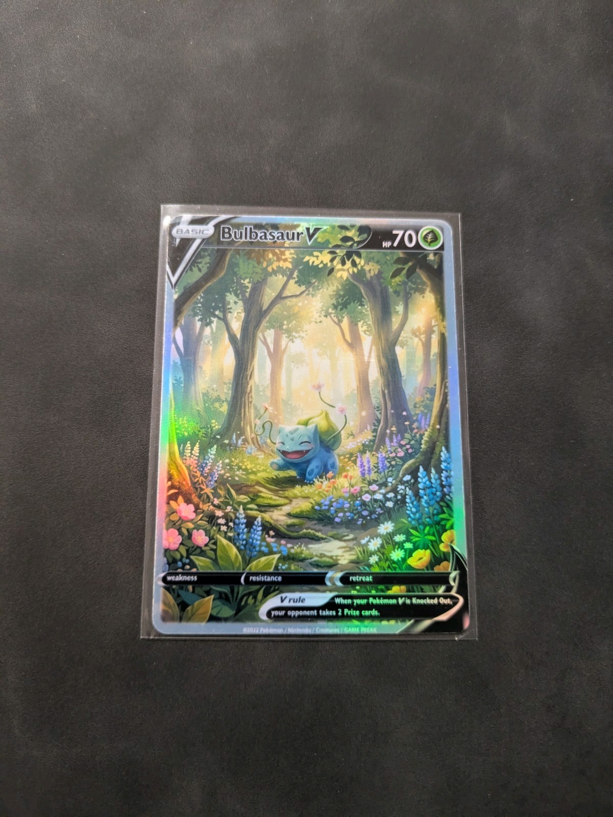 Forest Bulbasaur Holographic Display Card