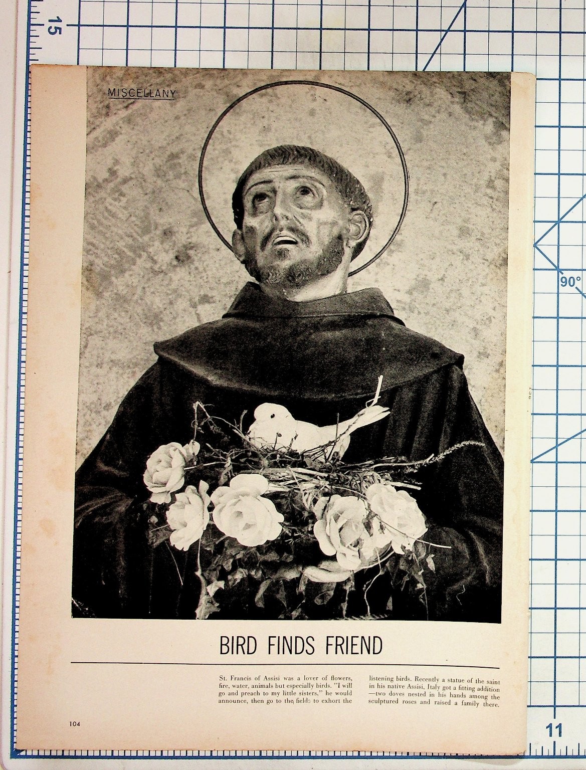 St. Francis of Assisi Statue Art Print Page Miscellany Bird Finds Friend