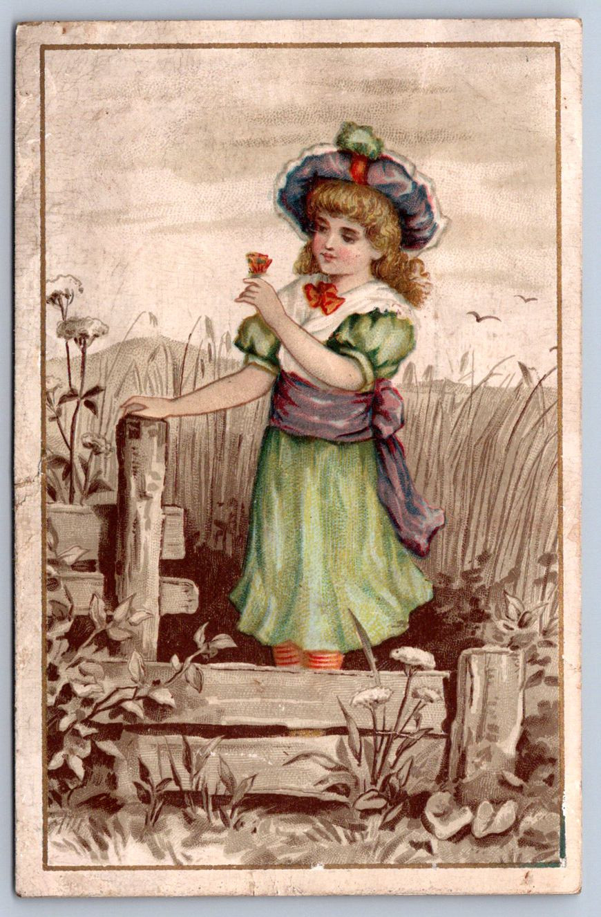 K21/ Victorian Trade Card c1880s Sandusky Ohio Henry Gardner Organs 439
