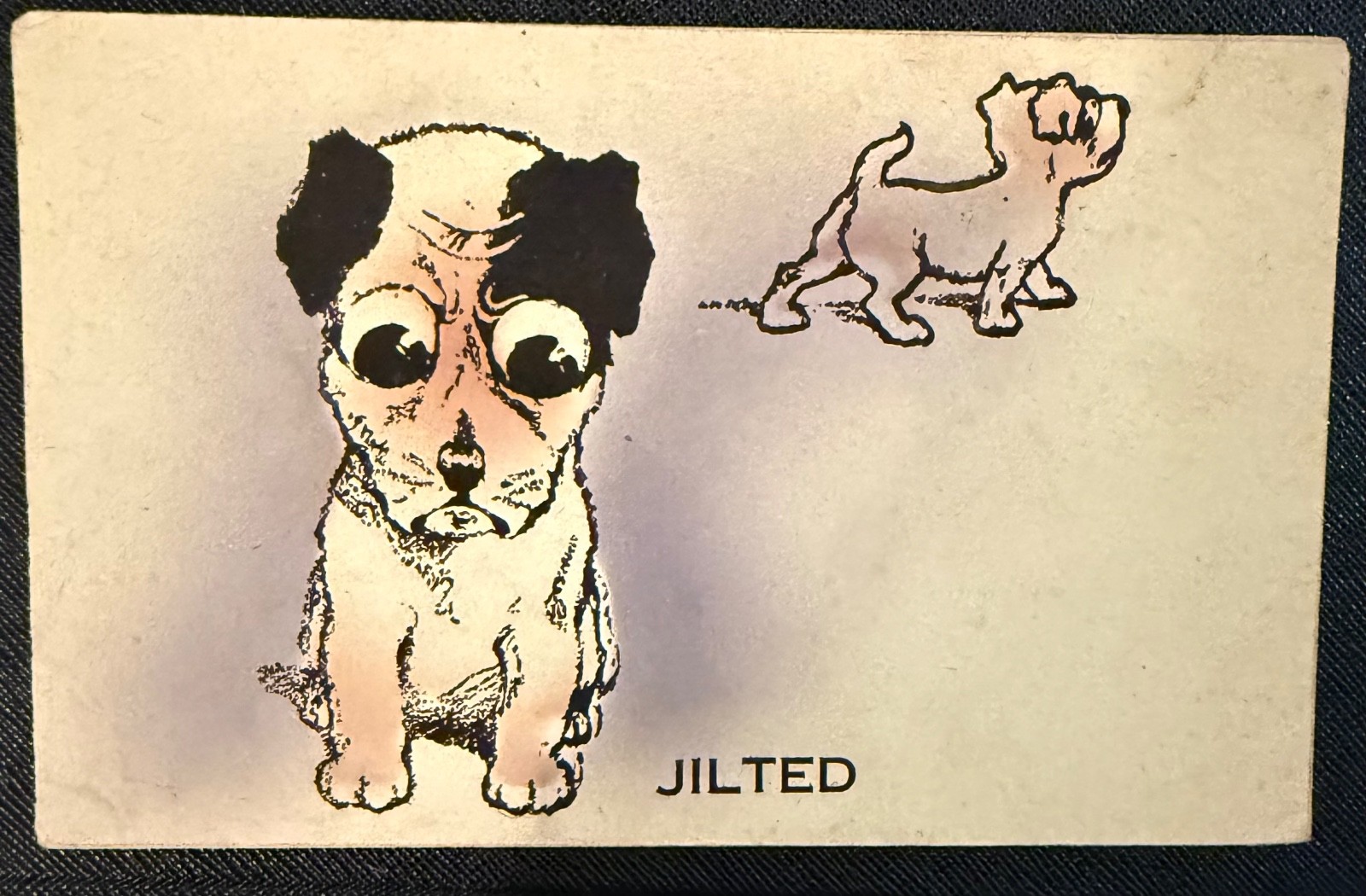 Antique 1911 Humorous Dog Postcard JILTED King Edward VII Stamp Sussex Postmark 