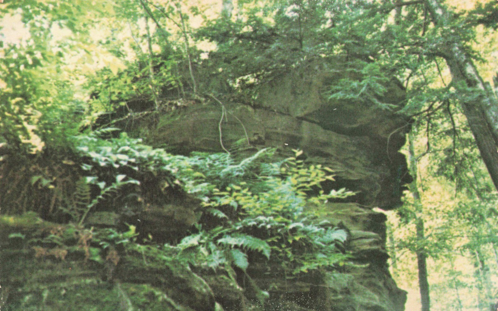 Chautauqua New York Rock Formation Vintage Standard Chrome Postcard Unposted