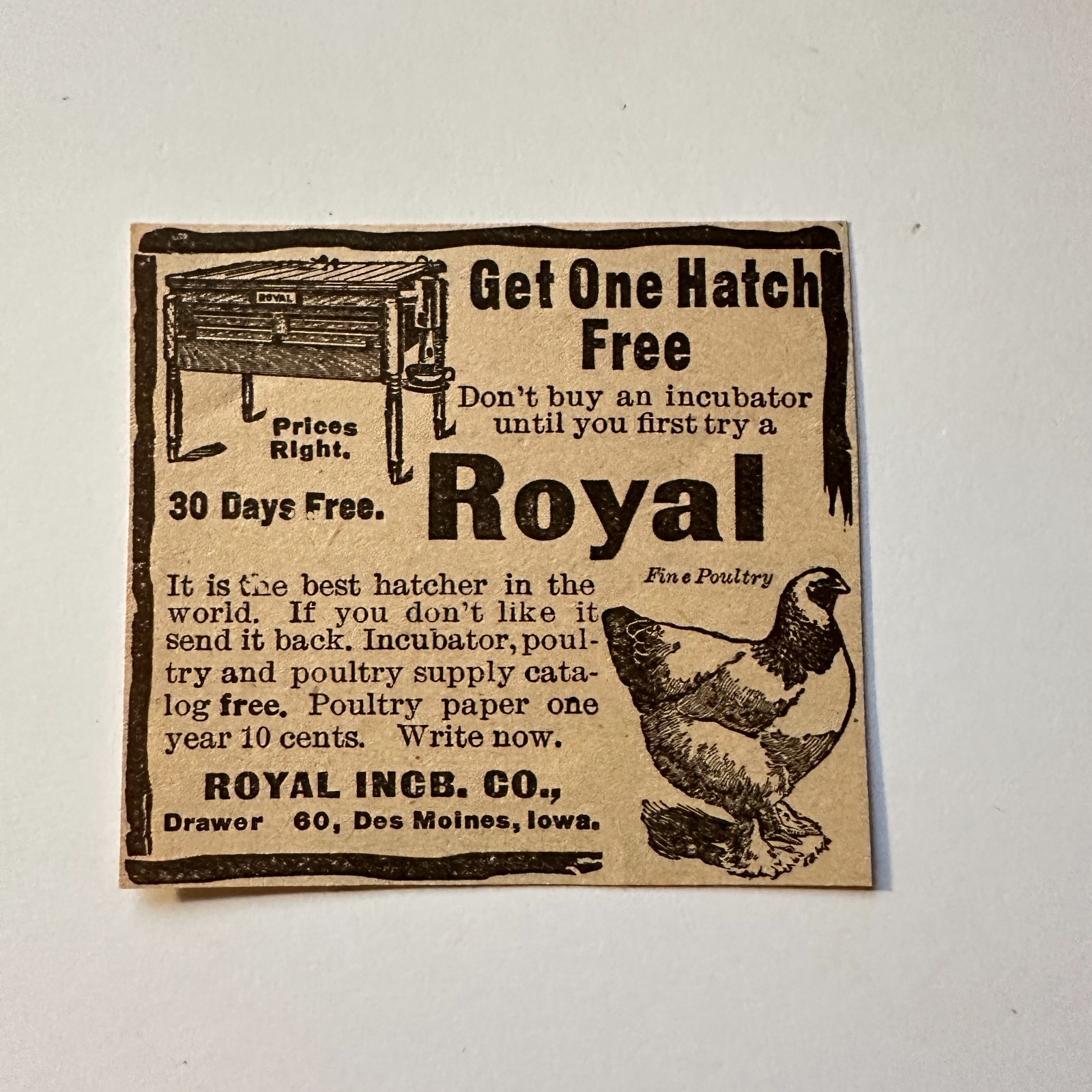Royal Incb Co Royal Fine Poultry Des Moines IA 1906 Minneapolis Ad 5AL1-S8