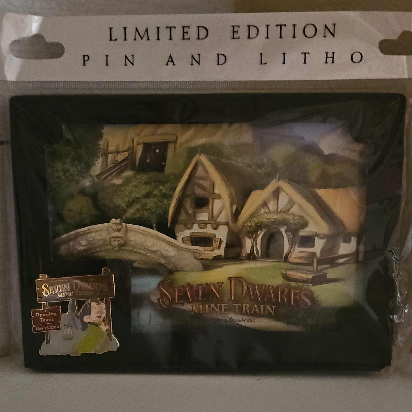 VERY RARE Walt Disney World Limited Edition Pin & Lithogragh Set - Sealed