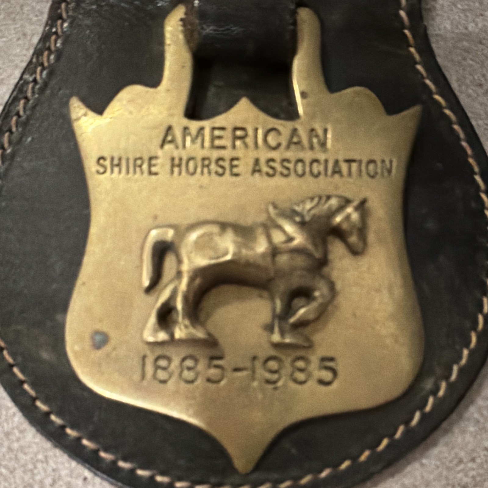 Vintage 2 horse brass Leather Fob American Shire Horse Association 1885- 1995