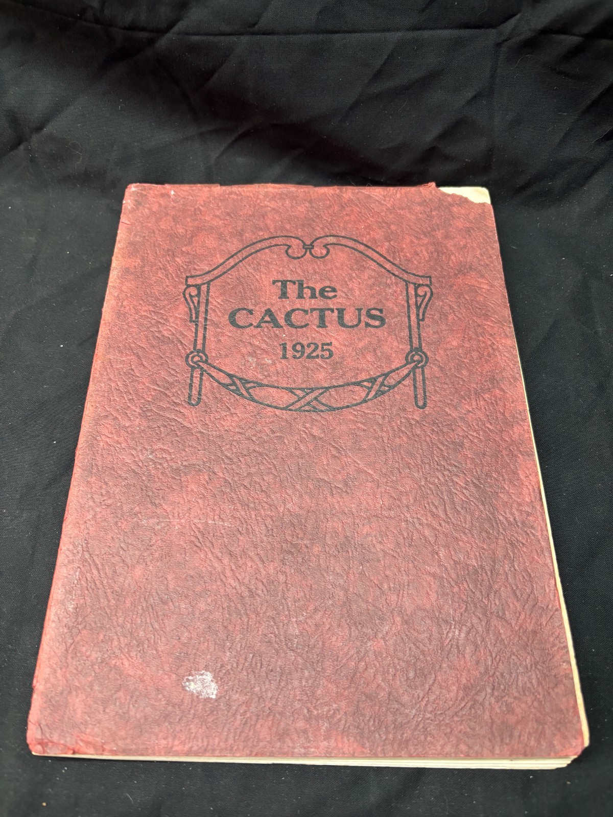 1925 \