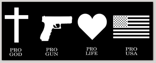 PRO GOD PRO GUN PRO LIFE REPUBLICAN BUMPER STICKER   