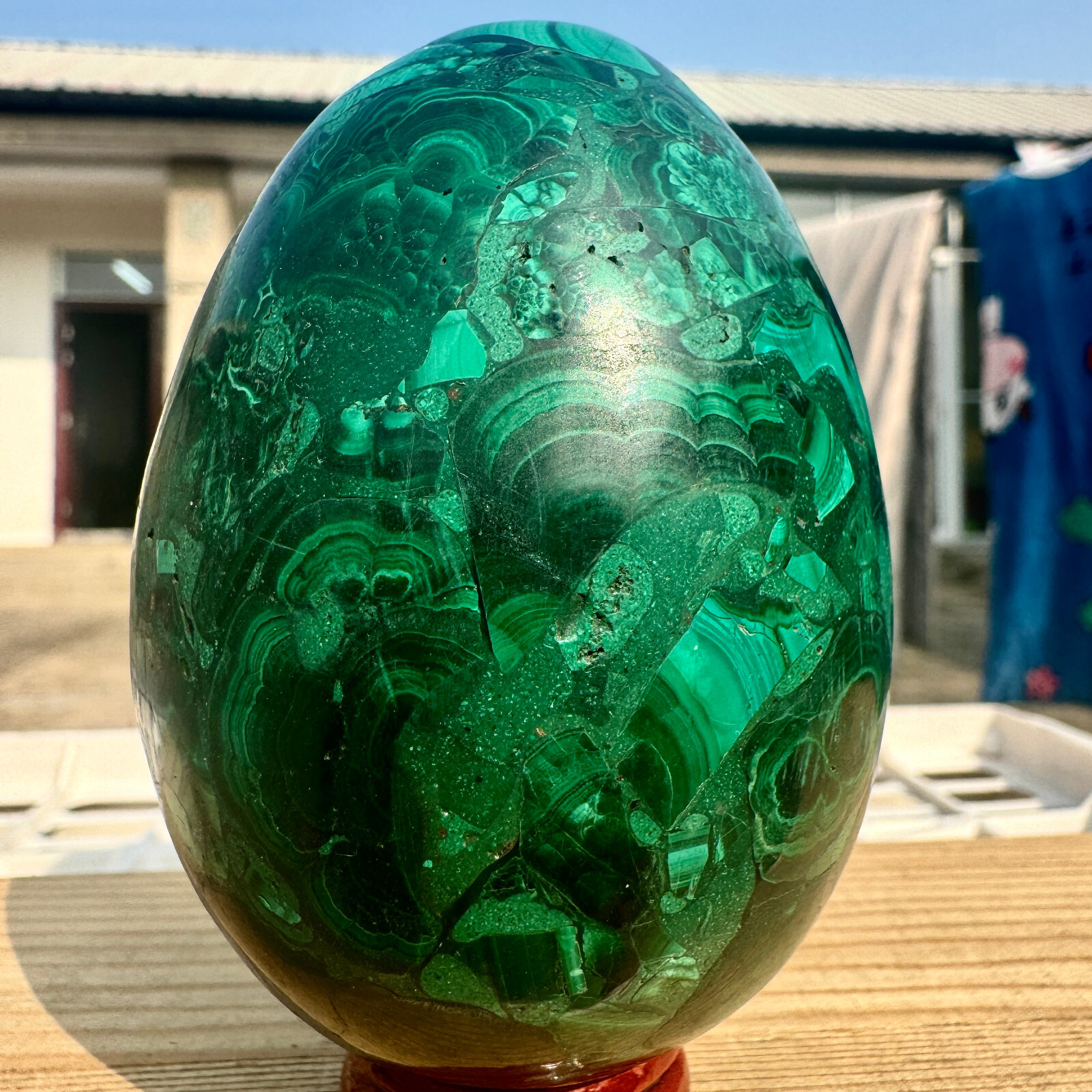 1.18LB Top natural malachite quartz hand carved egg crystal Reiki decoration -