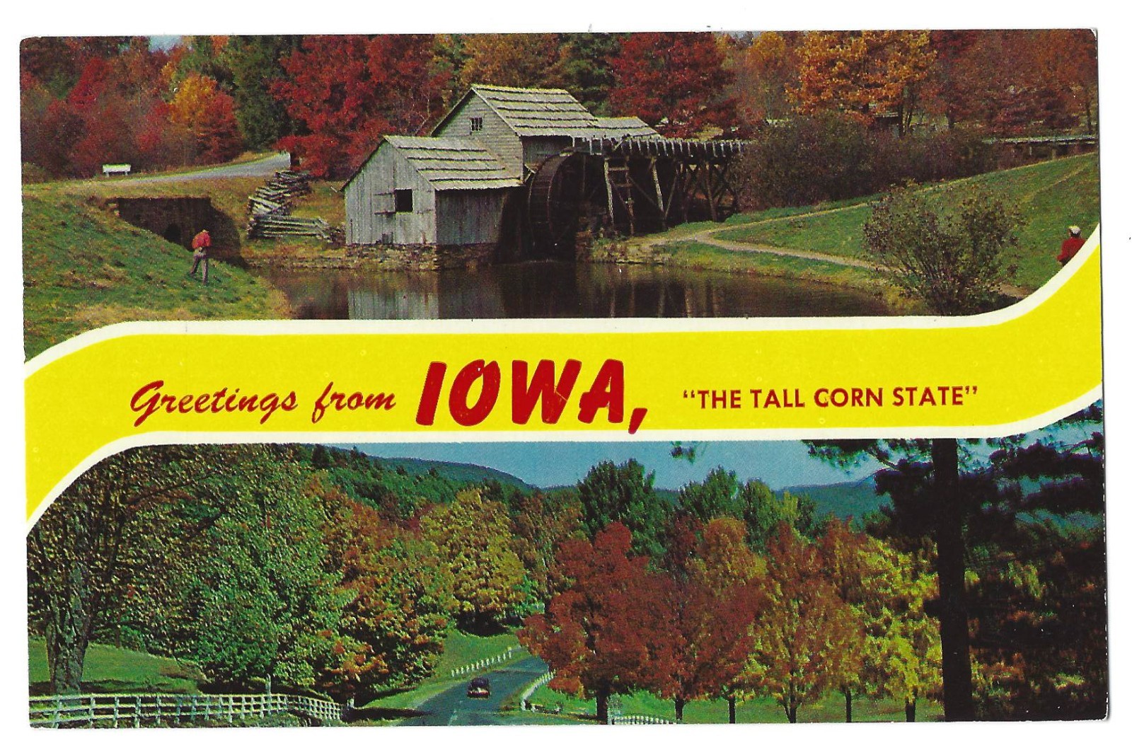 Greetings from Iowa The Tall Corn State Post Card