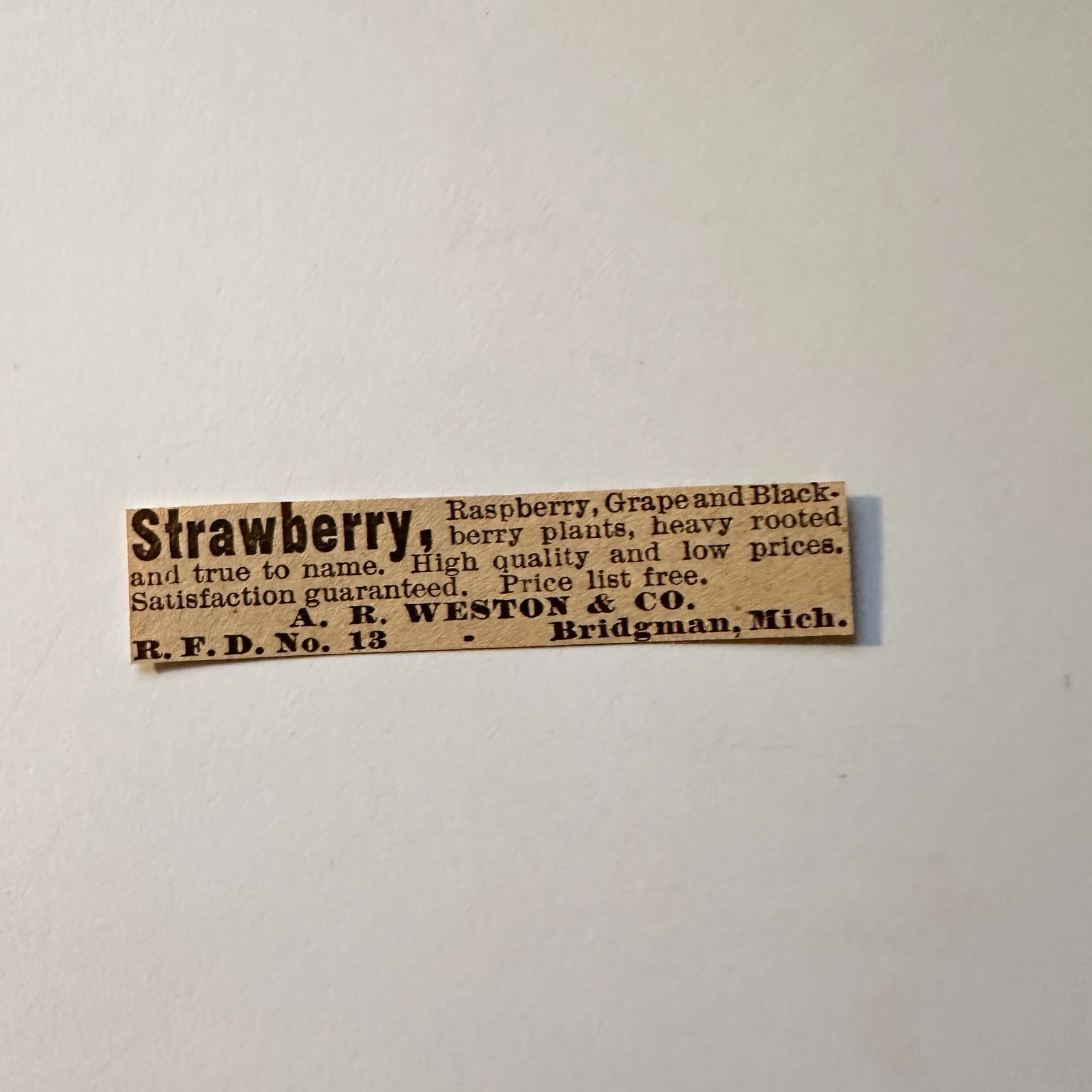 AR Weston & Co Strawberry Raspberry Bridgman MI 1906 Minneapolis Ad 5AL1-S10