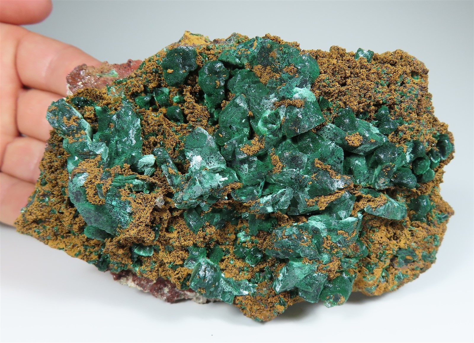 Malachite after AZURITE crystal with fibrous Malachite * Aouli, Morocco