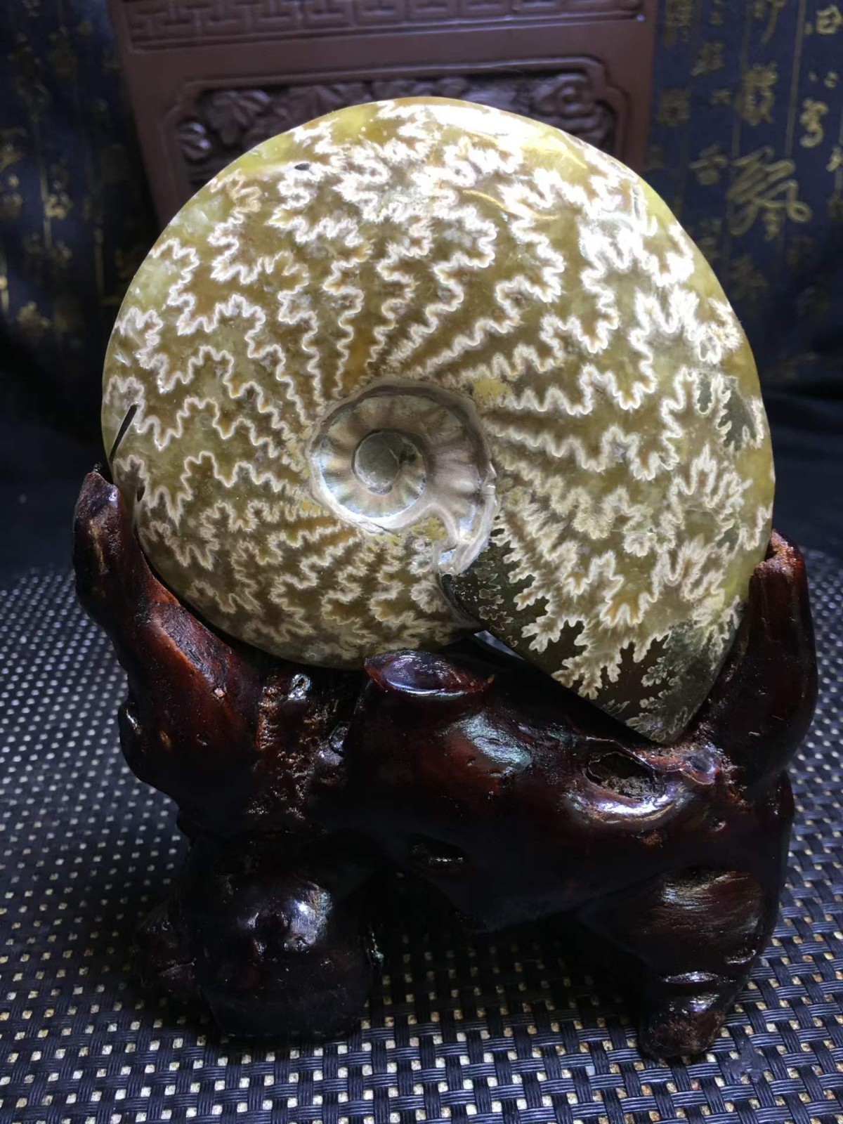 1.01LB Natural ammonite fossil conch Crystal specimen healing decor+Stand