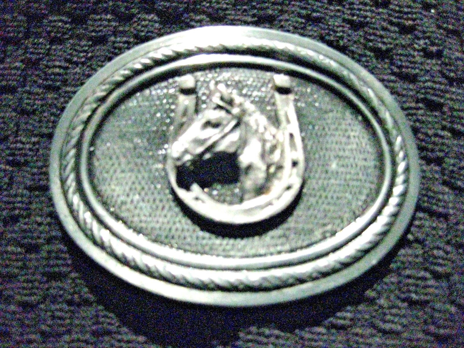 Vintage Western Horse & Horseshoe Belt Buckle